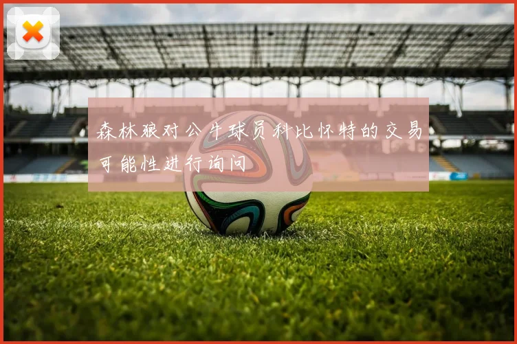 森林狼对公牛球员科比怀特的交易可能性进行询问